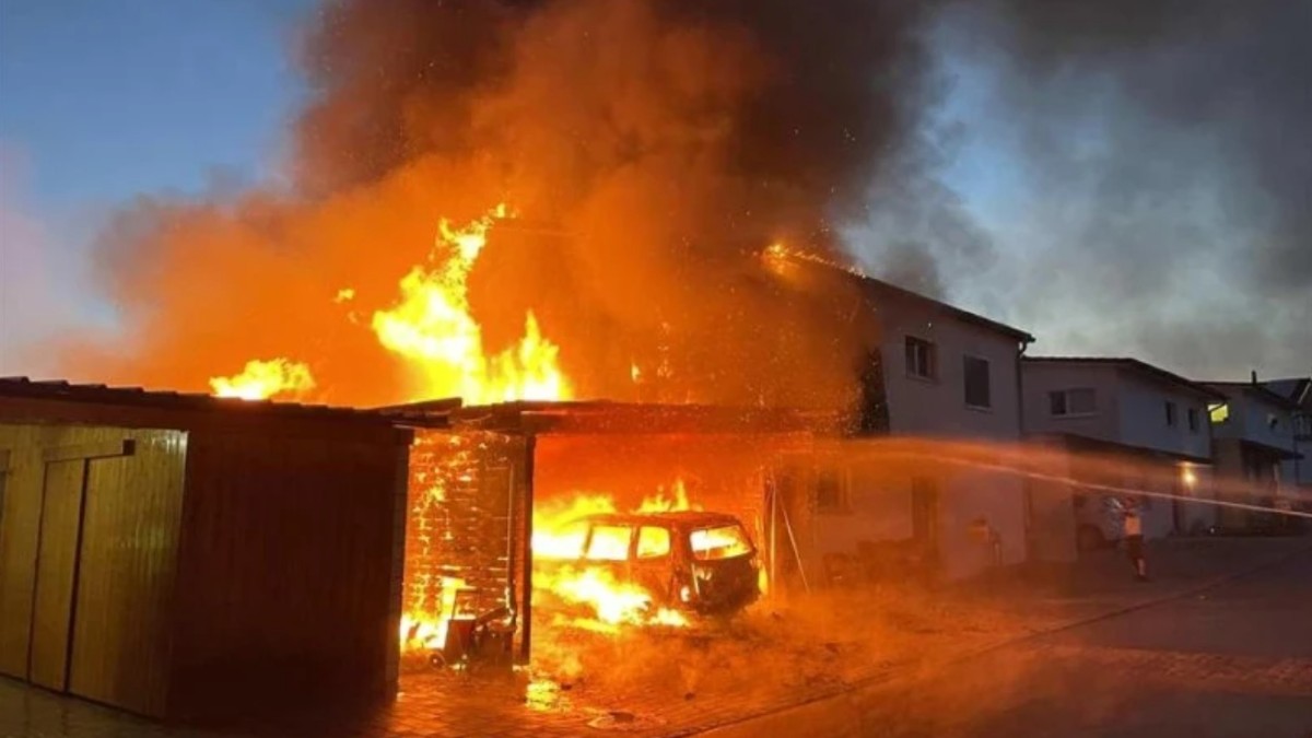 Hunde-retten-Bewohnende-vor-Brand-in-Villa