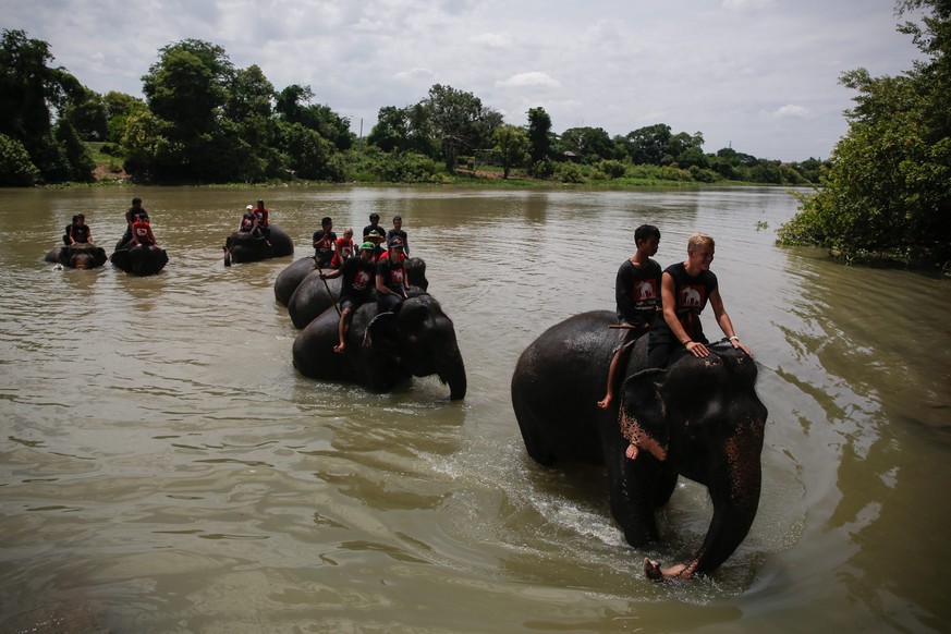 epa04879949 Elephants are taken for a bath in the river as a group of foreigners receive training on caring for elephants at the Royal Elephant Kraal in the ancient historical city of Ayutthaya, north ...