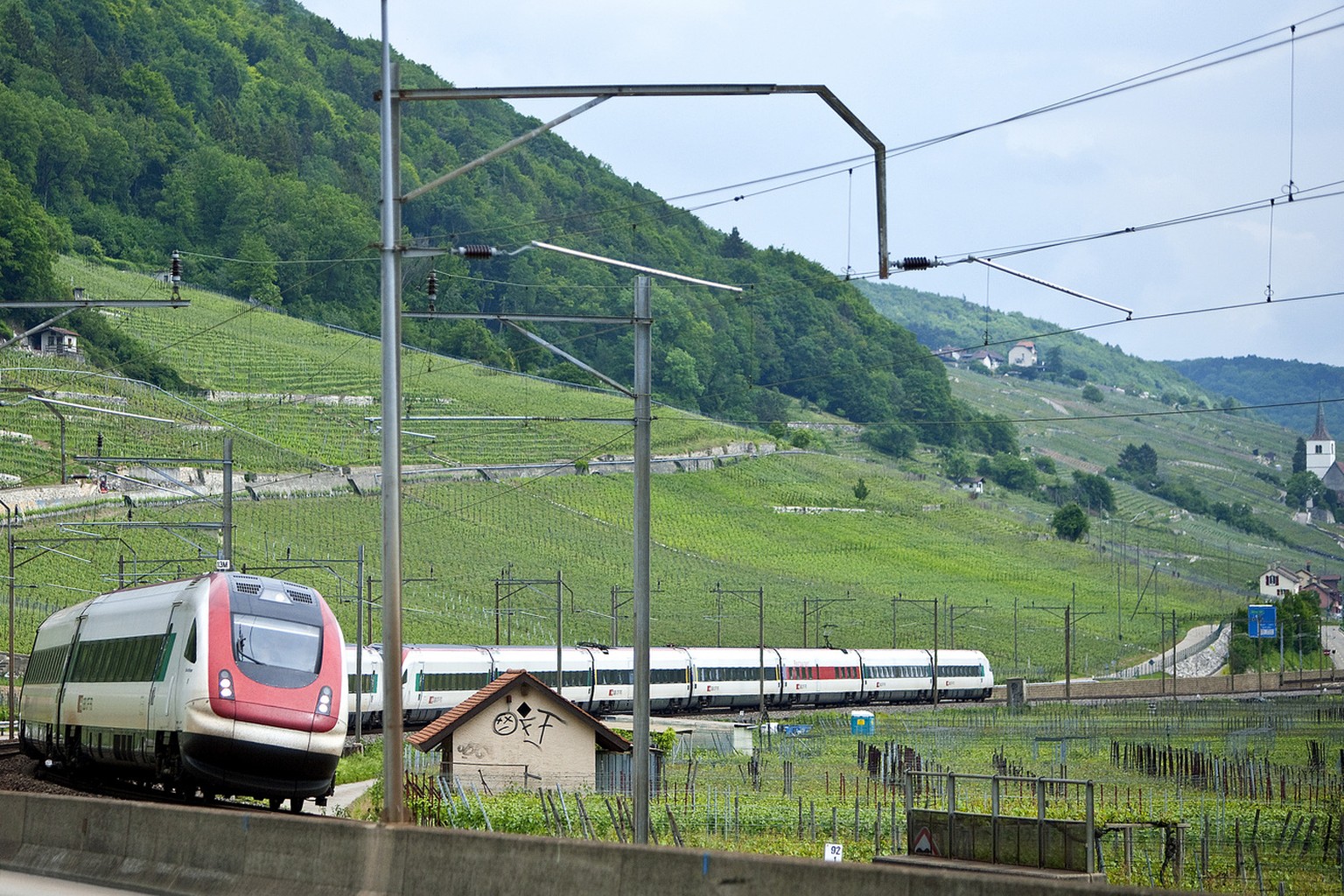 SBB-Intercity in den Weinbergen am Bielersee.