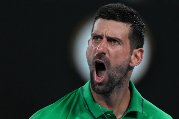 <p>Idemo! Novak Djokovic wirft Jannik Sinner raus und steht im Final.</p>