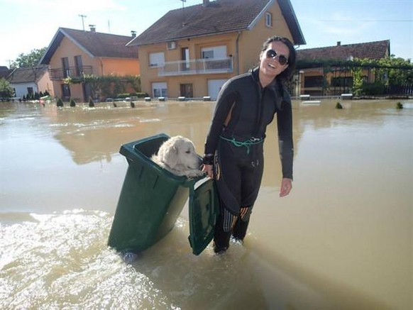 Tierrettung Flut Hochwasser