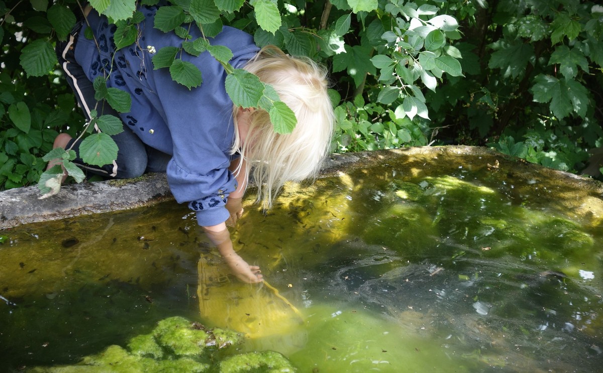 Homeschooling - wie es funktioniert und ob die Kinder gleich viel lernen und soziale Kontakte haben, zeigt ein Besuch bei einer Aargauer Familie.