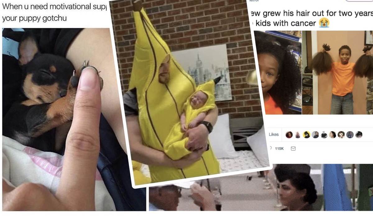 Feel Good Dump: Diese Bilder machen dich sofort glücklich