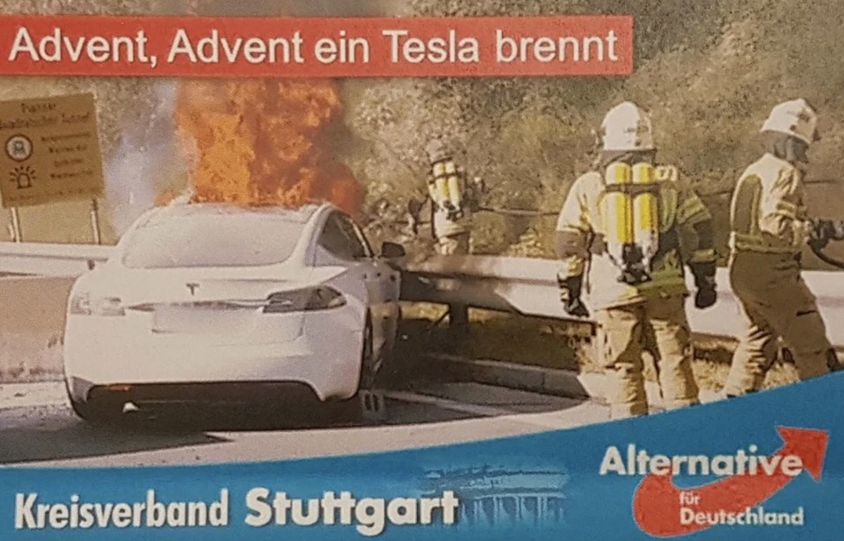 Die AfD mag Musk, E-Autos nicht so sehr.