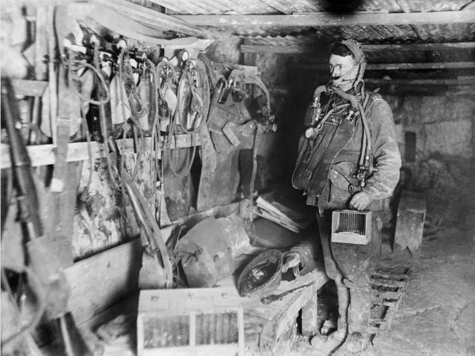 Tierischer Gasmelder: Ein australischer Sappeur 1918 in einem Tunnel an der Westfront. Zu sehen sind Käfige, in denen Mäuse oder Kanarienvögel mit unter Tage genommen wurden. 