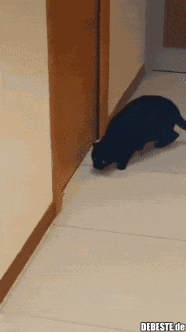Animiertes GIF