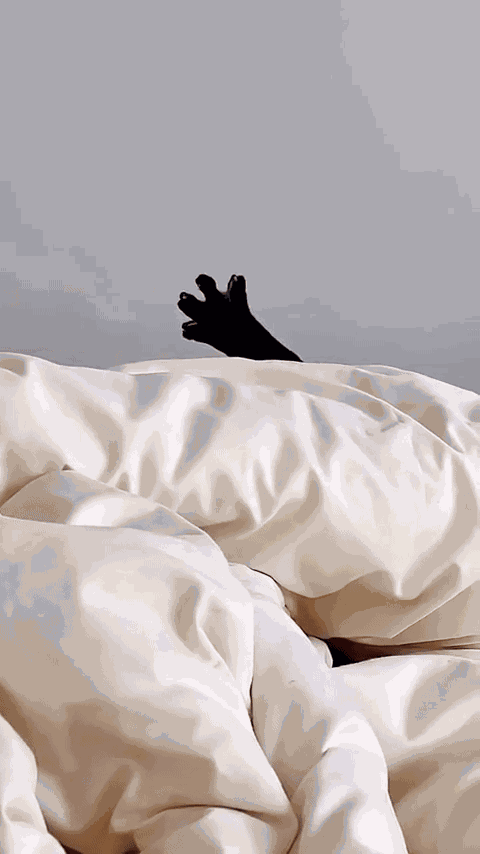 Animiertes GIF