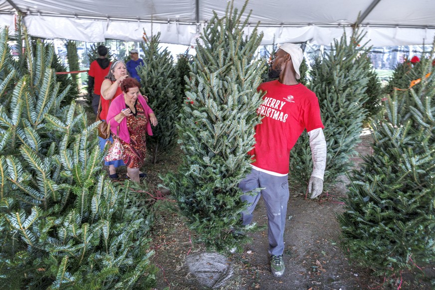 epa12565880 A volunteer helps carry a Christmas tree at the Hank Kline Club in Miami, Florida, USA, 02 December 2025. Low-income families in Miami can pick up a free five-foot Christmas tree and LED l ...