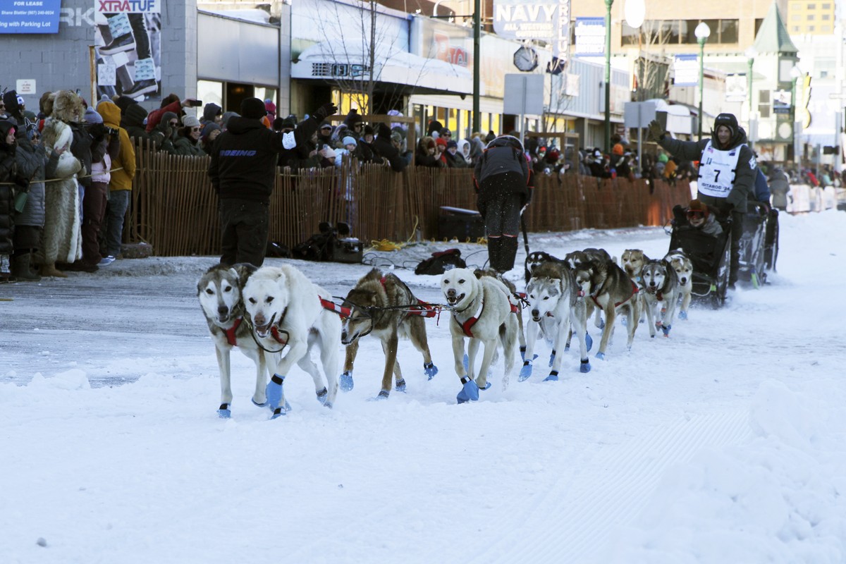 Five-time champion Dallas Seavey of Talkeetna, Alaska, wearing bib No. 7, takes an auction winner in his sled 11 miles over the streets of Anchorage, Alaska, during the Saturday, March 2, 2024, ceremo ...