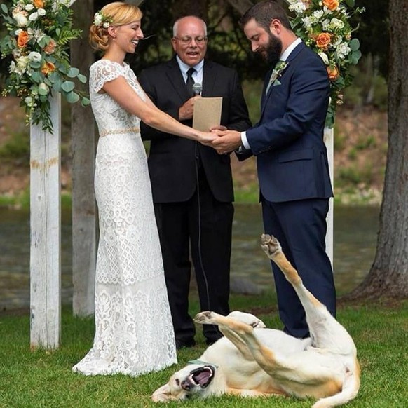 Hochzeit mit Hund