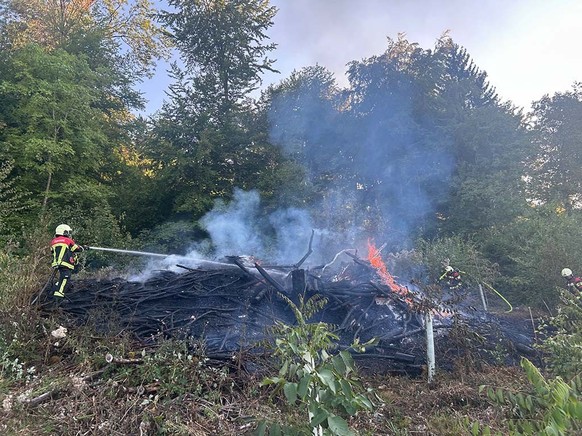 Brand Birr 29.7.26
