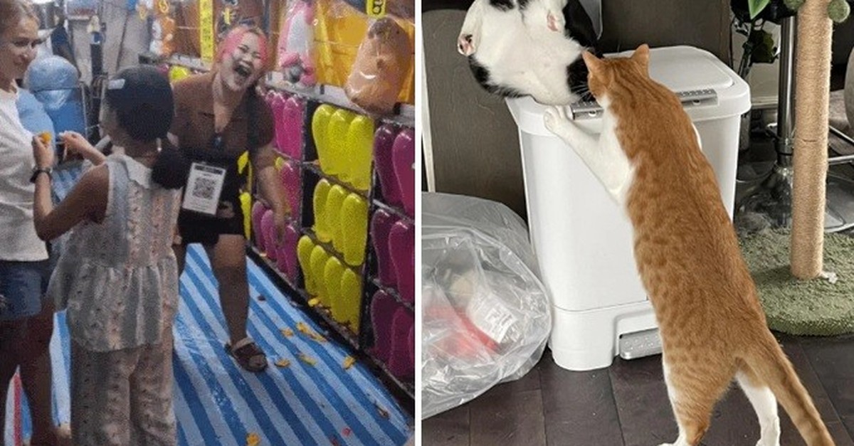 Wer den Fail nicht ehrt, ist des Wins nicht wert