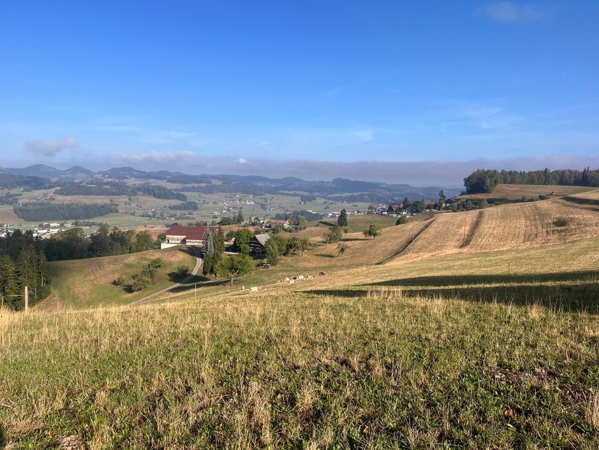 Steppenlandschaft statt saftiger Wiese – die Trockenheit setzte Corinnes Tieren diesen Sommer zu.