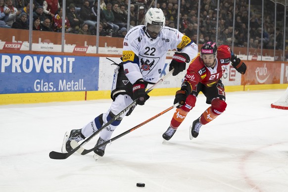 der Freiburger Spieler Dave Sutter , links, und der Berner Spieler Simon Moser, rechts, kaempfen um den Puck, beim Eishockey Meisterschaftsspiel der National League zwischen dem SC Bern und dem HC Fri ...