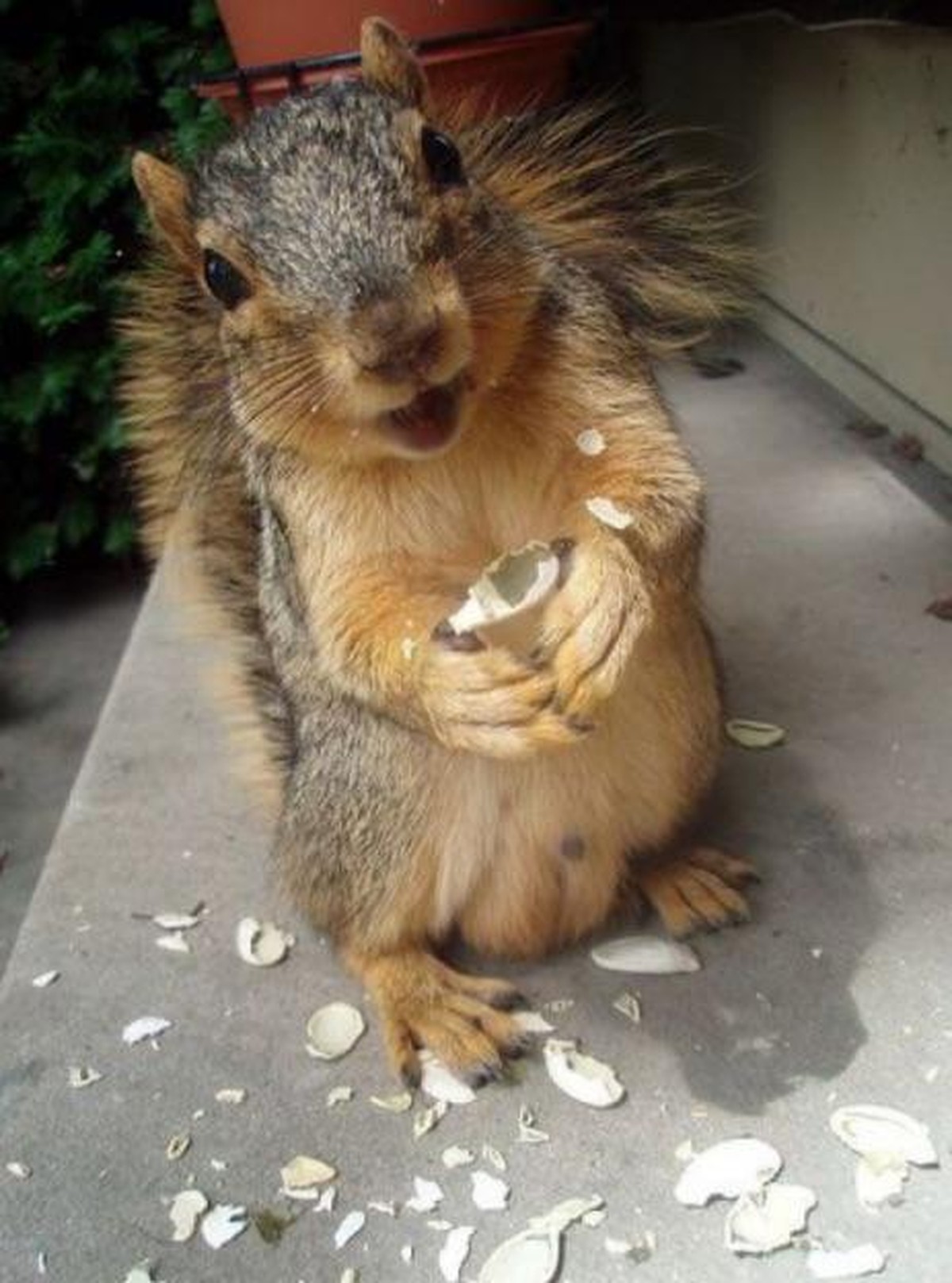 Cute news