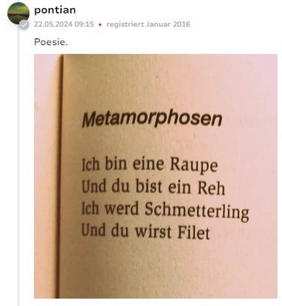 Bild