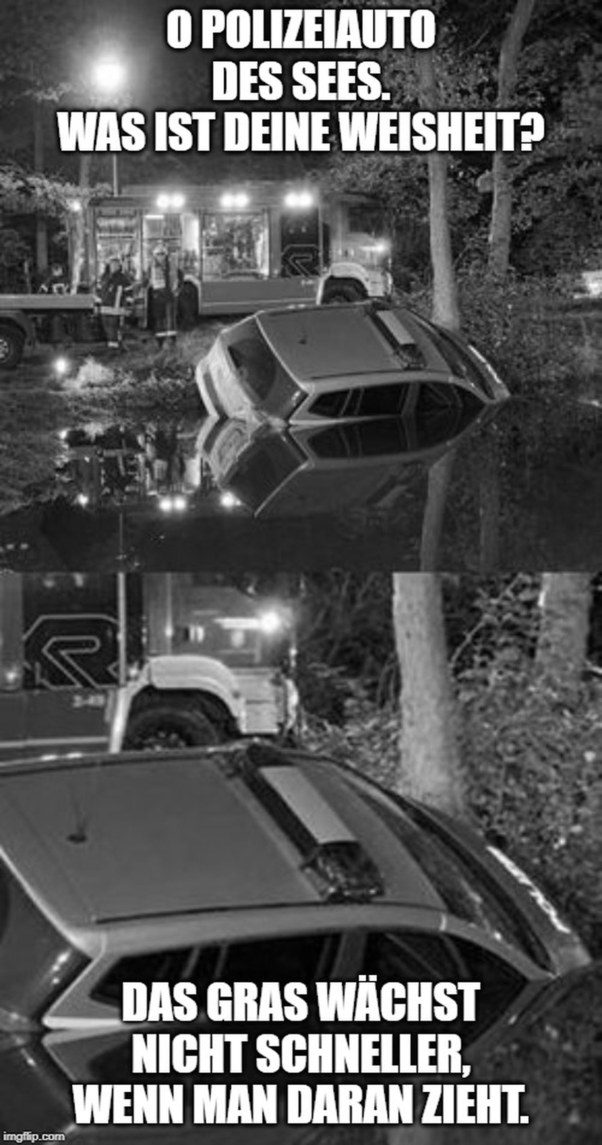 Kommt, Kinder! PICDUMP! рџ¦–
Zur ErgГ¤nzung: Police car of ze lake