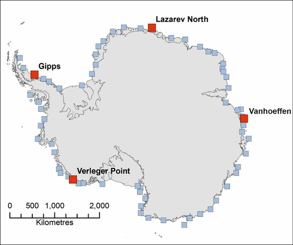 Vier neu-entdeckte Brutstätten von Kaiser-Pinguinen in der Antarktis. Insgesamt sind jetzt 66 Kolonien bekannt.