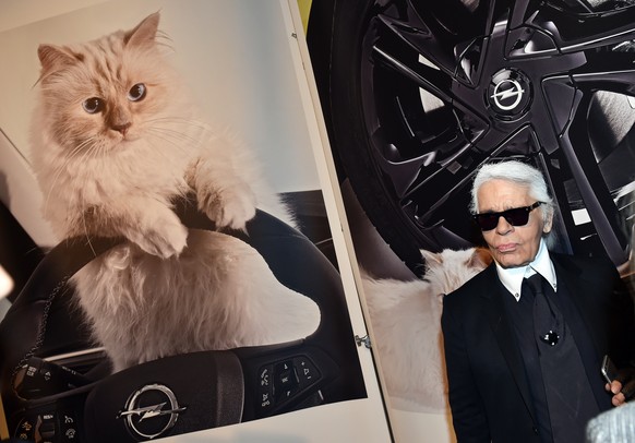 German fashion designer, artist, and photographer Karl Lagerfeld poses next to a photo of his cat &quot;Choupette&quot; during the inauguration of the show &quot;Corsa Karl and Choupette&quot; at the  ...