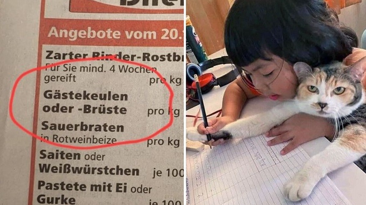 Mürrisch heute? Hier gibts lustige Bilder und GIFs zur Aufheiterung