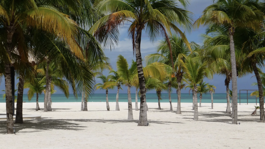 Weisser Sand und ein wenig Schatten durch Palmen: Der Strand der Privatinsel Isla Pasion in Mexiko ist für TripAdvisor-Nutzer der schönste der Welt.