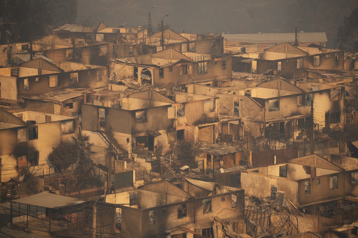 epa11124888 Homes affected by forest fires in the area of El Olivar, Vina del Mar, Valparaiso Region, Chile, 03 February 2024. The fires in the central region of Valparaíso have caused at least 19 dea ...