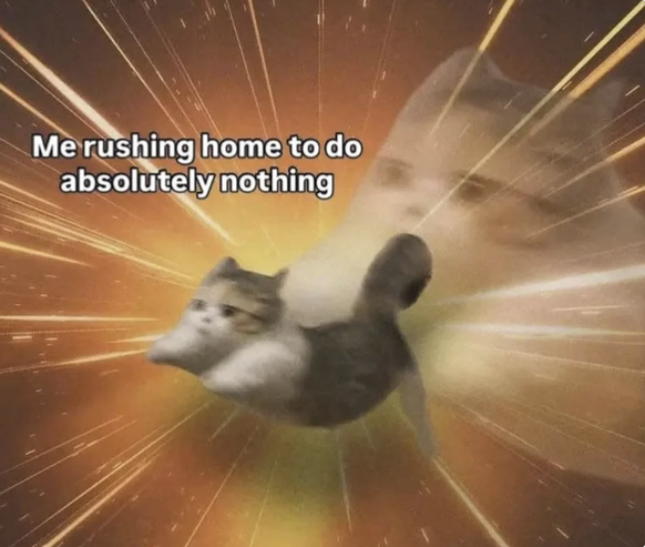Introvertierten Meme