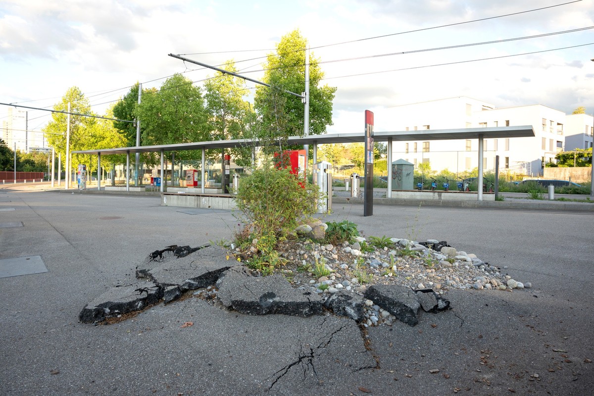 Ansermetplatz Entsiegeln von Boden
