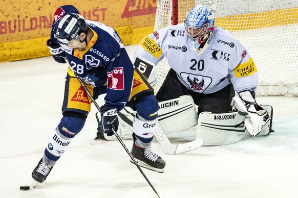 Zugs Yannick-Lennart Albrecht, links, im Spiel gegen Gotterons Goalie Reto Berra, rechts, beim Eishockey Meisterschaftsspiel der National League zwischen dem EV Zug und Fribourg-Gotteron, am Freitag,  ...