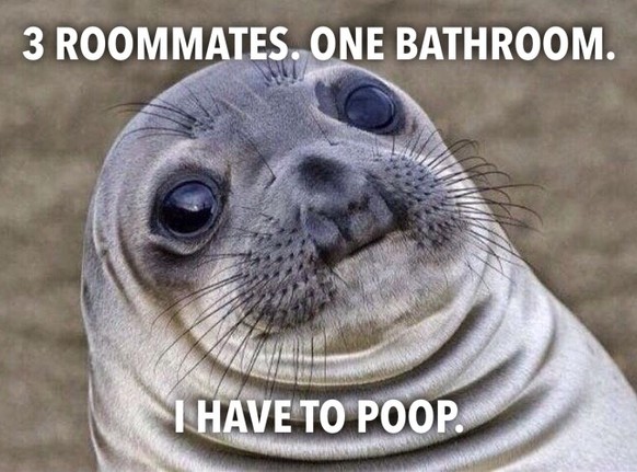 Lustige Memes über Mitbewohner