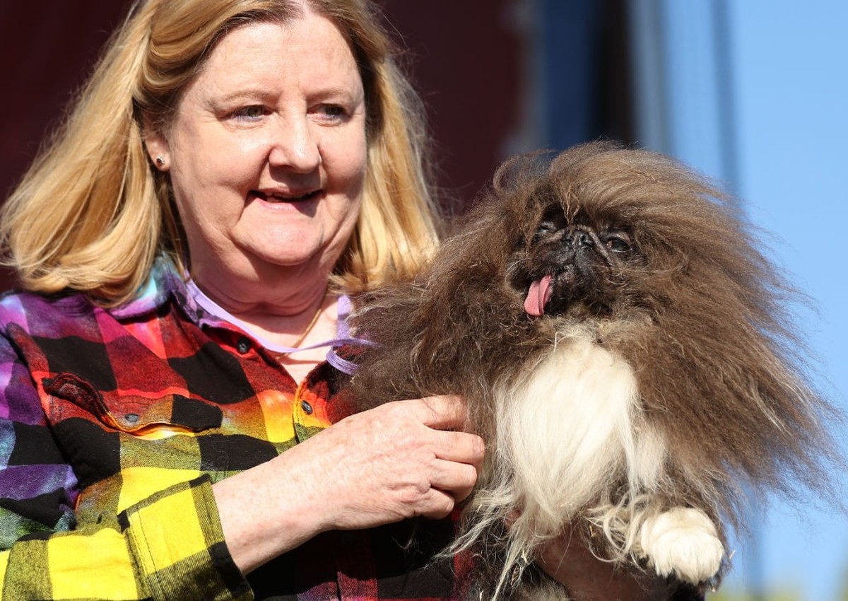 PETALUMA, CALIFORNIA - JUNE 21: Ann Lewis holds her dog Wild Thang after winning the World's Ugliest Dog contest at the Marin-Sonoma County Fair on June 21, 2024 in Petaluma, California. A Peking ...