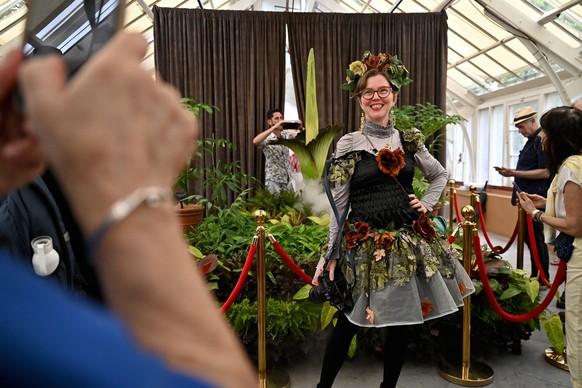 epa11846670 A woman dressed in a flower costume poses for a photograph as the titan arum or corpse flower, nicknamed Putricia, blooms at the Royal Botanic Gardens in Sydney, Australia, 23 January 2025 ...