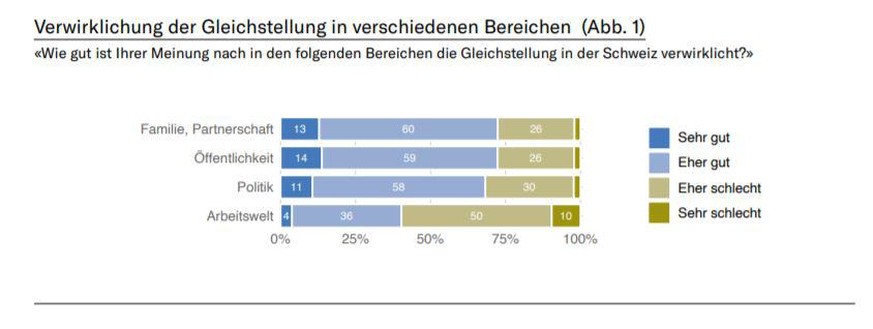 Mit der Gleichstellung im privaten Umfeld sind nur 13% sehr zufrieden.