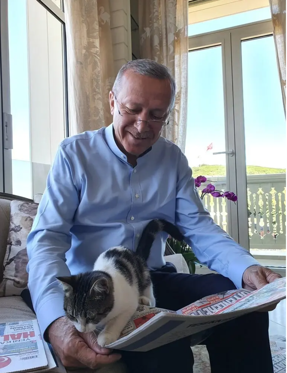 Präsident Erdogan mit der Katze seiner Enkelin.