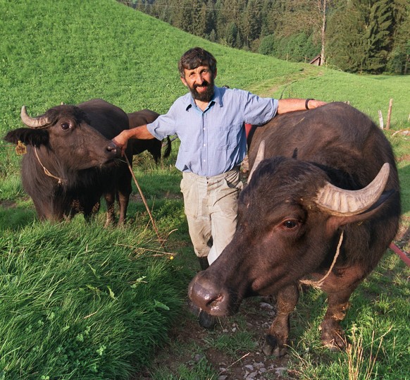 Der Bauer Hans Bieri praesentiert im August 2002 in Schangnau im Oberemmental zwei seiner Wasserbueffel. Mit der Milch der aus Rumaenien importierten Bueffel wird der beliebte Bueffelmozzarella herges ...