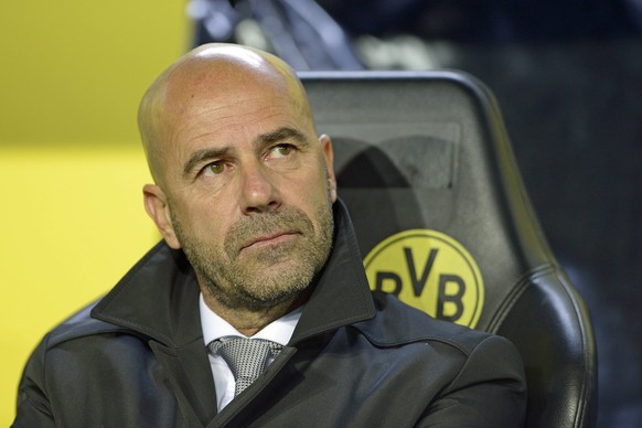 Dortmund, Germany 01.11.2017, UEFA Champions League - 2017/18 Season, Gruppenphase - Gruppe H -4. Spieltag, Borussia Dortmund - APOEL Nikosia, Peter Bosz ( Trainer Dortmund ) ( DeFodi521 *** Dortmund  ...