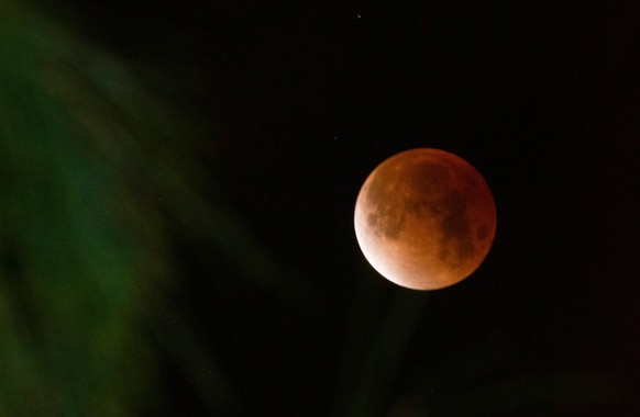 The Worm Blood Moon is seen between tree branches as peak totality subsides, above Woodland Hills, Calif., Tuesday, March 3, 2026. (Alvin A.H. Jornada/San Francisco Chronicle via AP)
Worm Blood Moon o ...