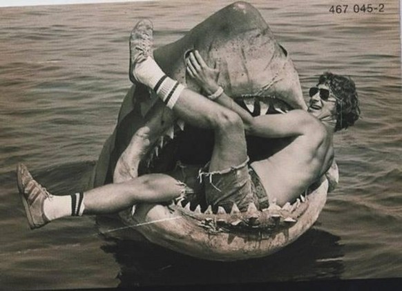 10 Filmfakten, mit denen du beim nÃ¤chsten Filmabend bluffen kannst
Spielberg und sein weisser Hai