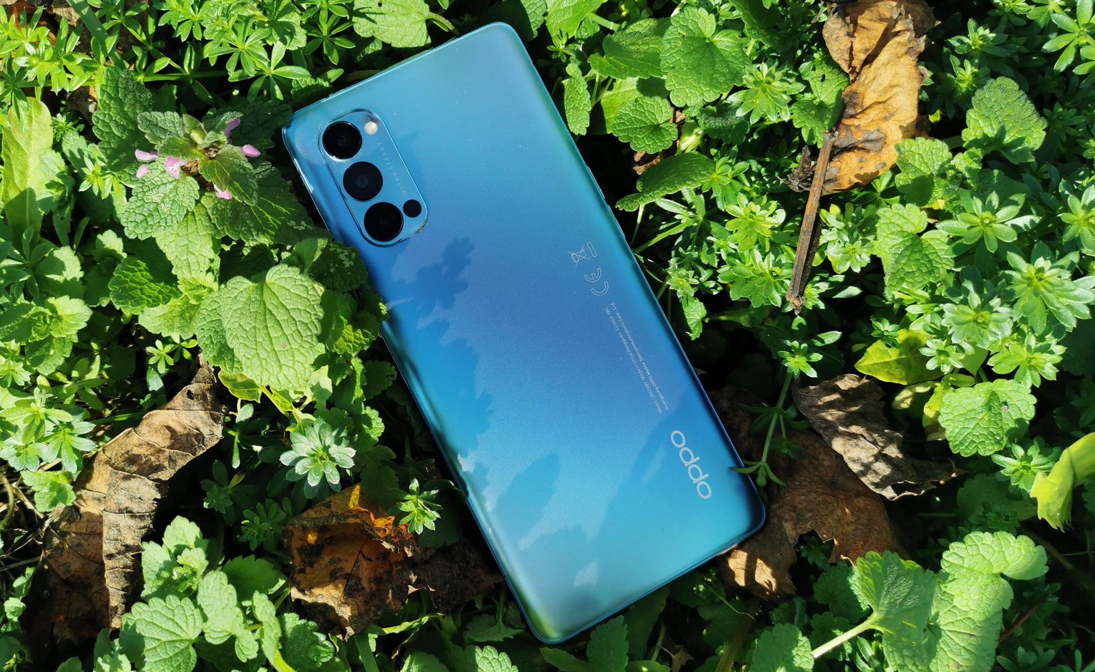 Das Reno 4 Pro 5G von Oppo im Test.