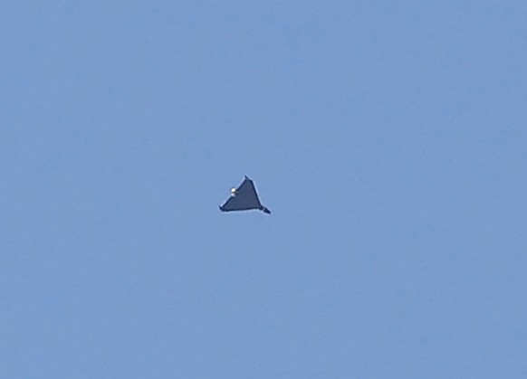 epa12359367 An unmanned aerial vehicle (UAV) flies above the Ukrainian capital during Russian strikes in central Kyiv, Ukraine, 07 September 2025, amid the Russian invasion. At least two people were k ...