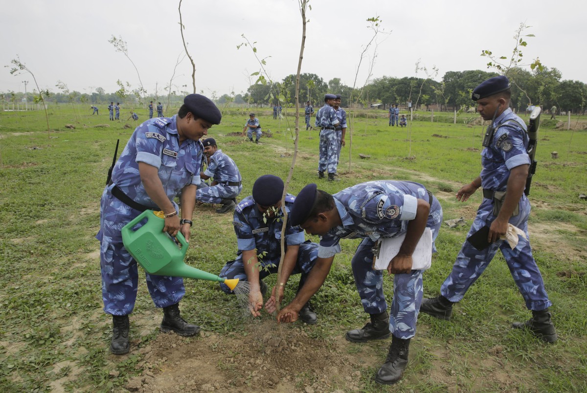 Indian para-military force soldiers plant saplings on the outskirts of Allahabad, India, Monday, July 11, 2016. Hundreds of thousands of people in India's most populous state Uttar Pradesh are jo ...