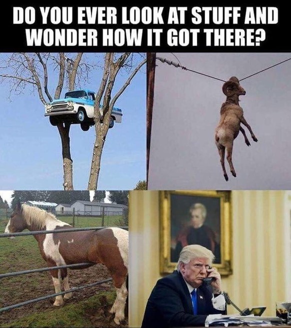 Schau dir schnell den PICDUMP an, bevor 1 dicken Huhn alles zerstГ¶rt hat!
рџ¤”
