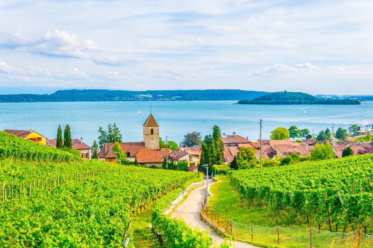Hier lässt es sich gut über Wein sinnieren: Blick auf Twann-Tüscherz und den Bielersee.