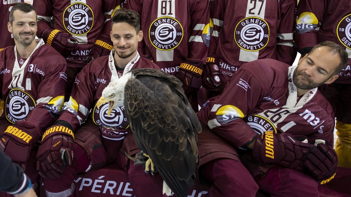 Geneve-Servette's captain forward Noah Rod, centre, holds Geneve-Servette's "Sherkan" mascot eagle between teammates defender Arnaud Jacquemet, left, and forward Daniel Winnik, rig ...