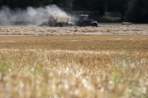 Ein Bauer ballt sein Stroh, aufgenommen am Dienstag, 11. Juli 2023 in Neerach. (KEYSTONE/Ennio Leanza)