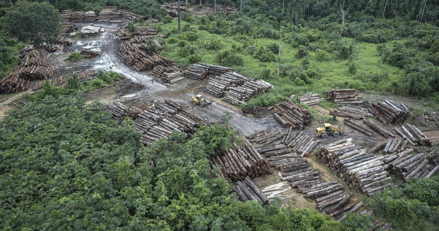 This May 8, 2018 photo released by the Brazilian Environmental and Renewable Natural Resources Institute (Ibama) shows an illegally deforested area on Pirititi indigenous lands as Ibama agents inspect ...