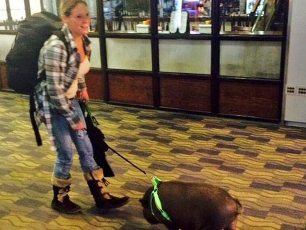 Rachel Boerner mit Schwein «Hobey»: ein unzertrennliches Team.&nbsp;