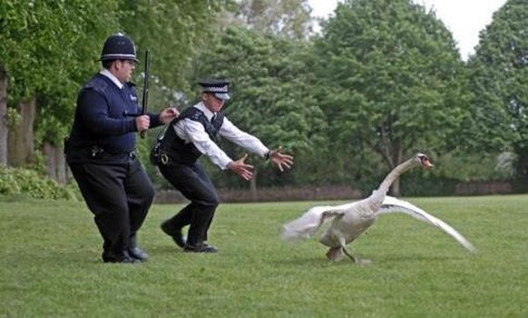 Hot Fuzz