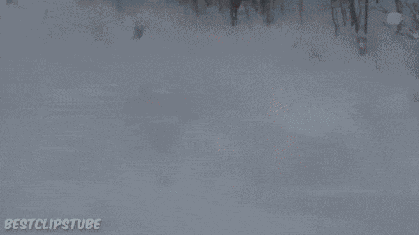 Animiertes GIF