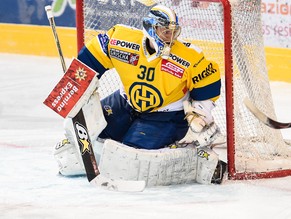 Leonardo Genoni hütet seit acht Jahren den HCD-Kasten.&nbsp;